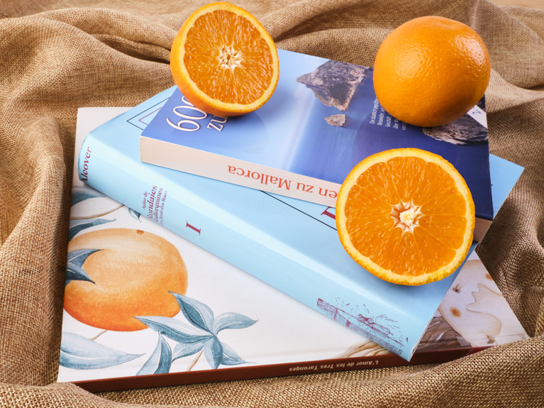 Orangen erzählen Geschichten